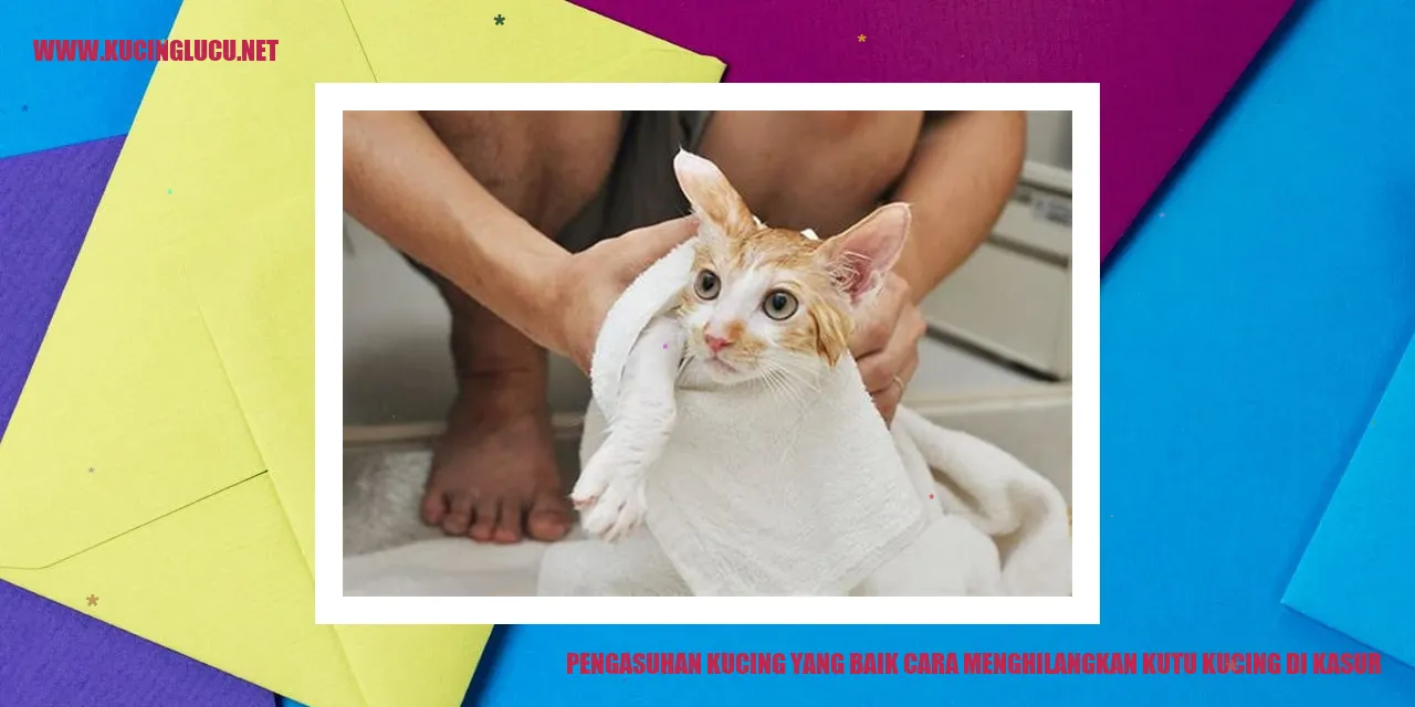 Mengatasi Kutu Kucing di Tempat Tidur