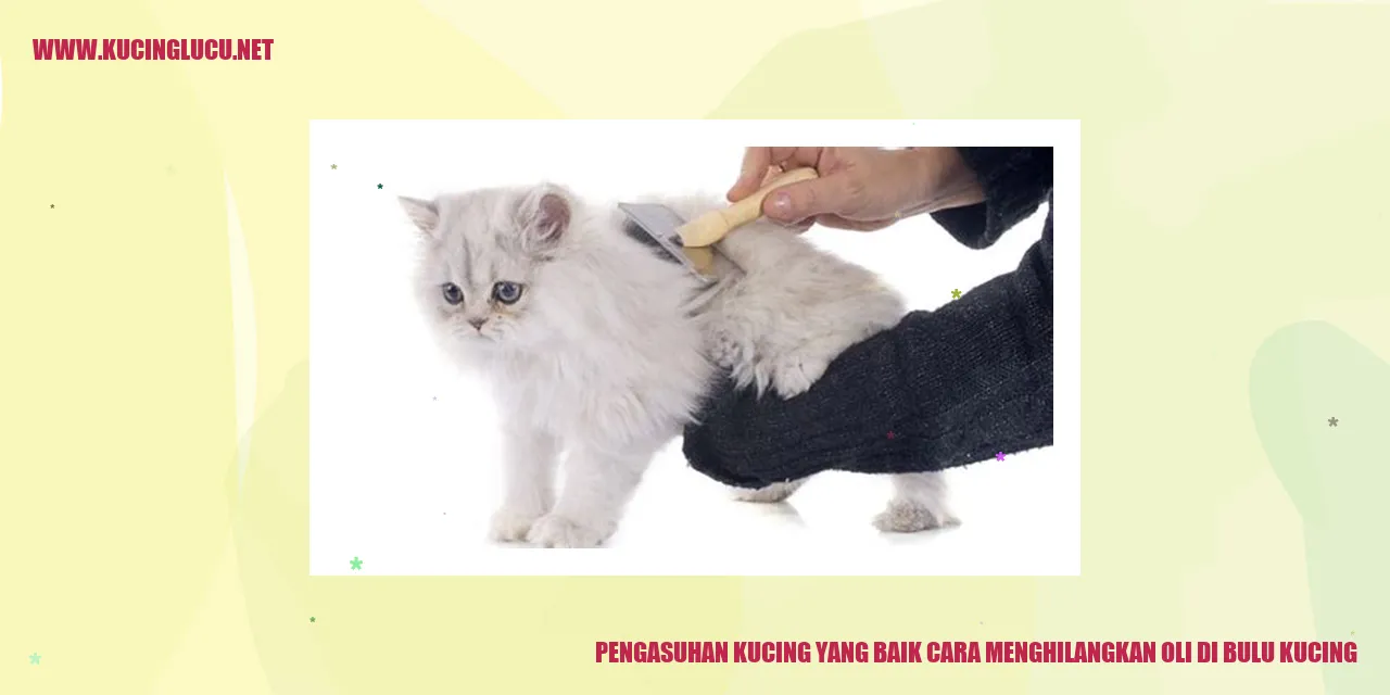 Gambar kucing dengan bulu kotor oleh oli