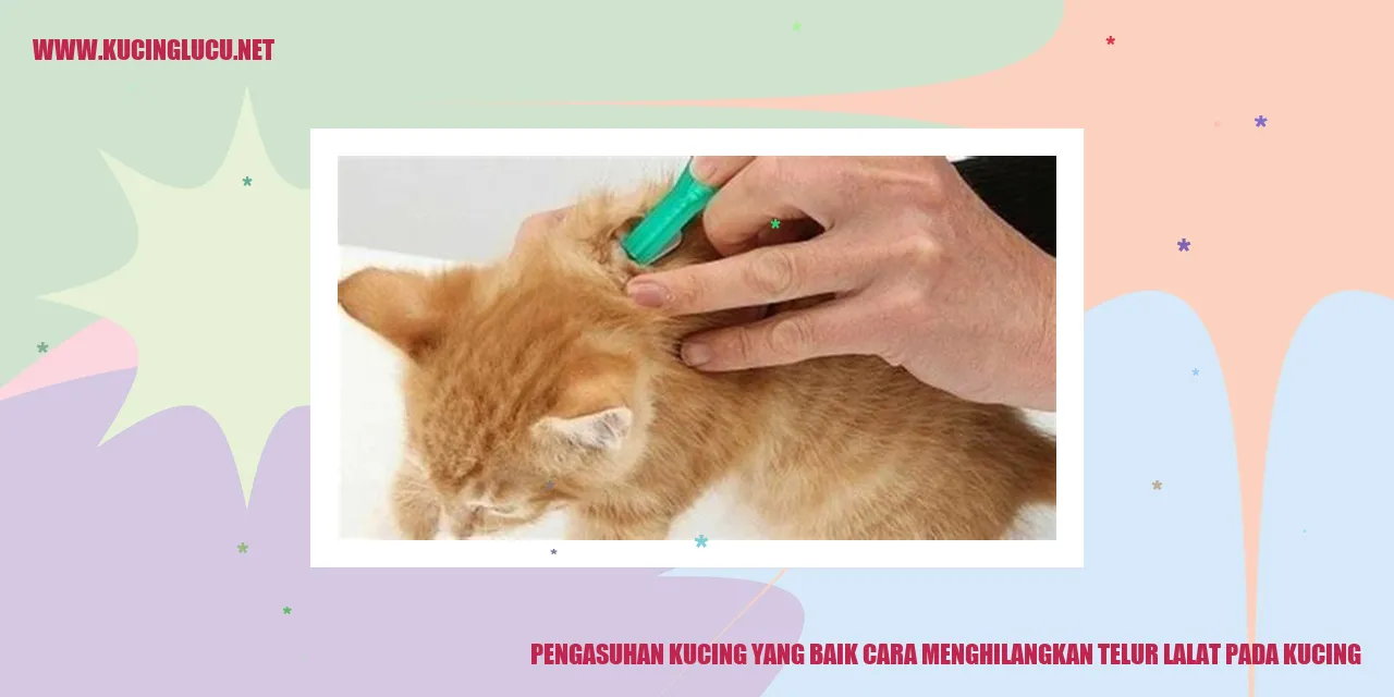 Gambar Kucing
