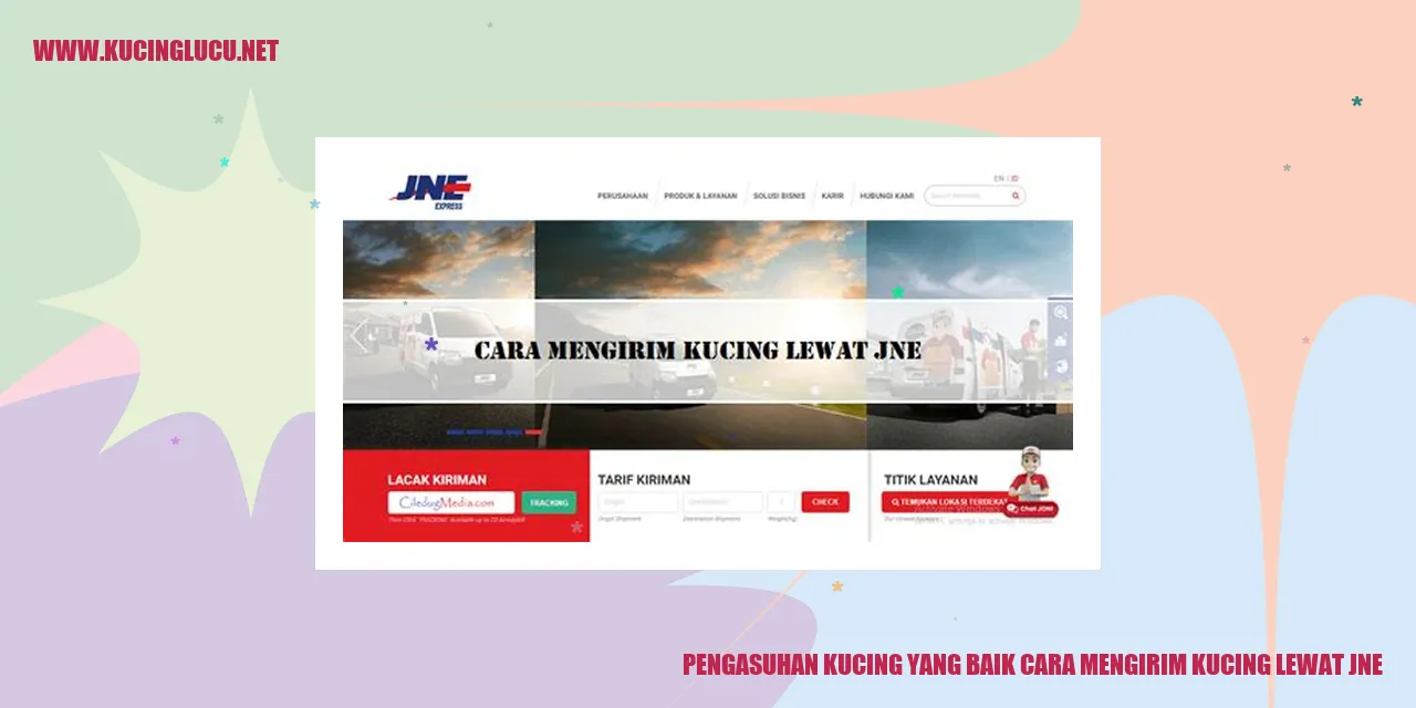 Kucing Yang Sehat dan Cara Mengirim lewat JNE