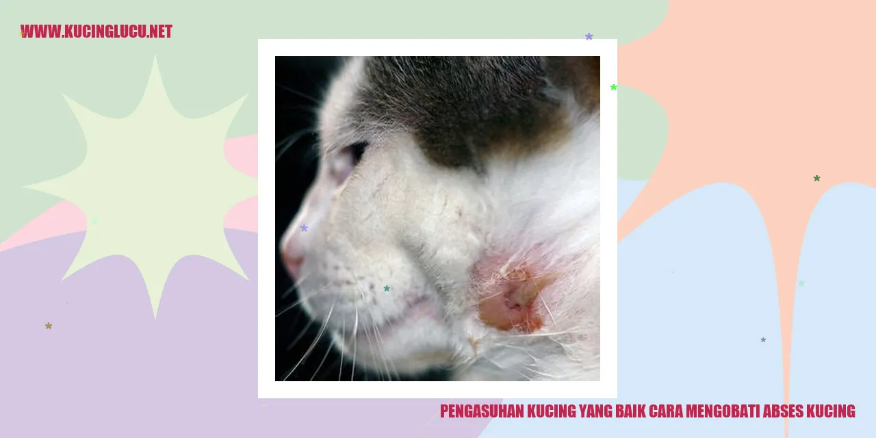 Kucing Lucu