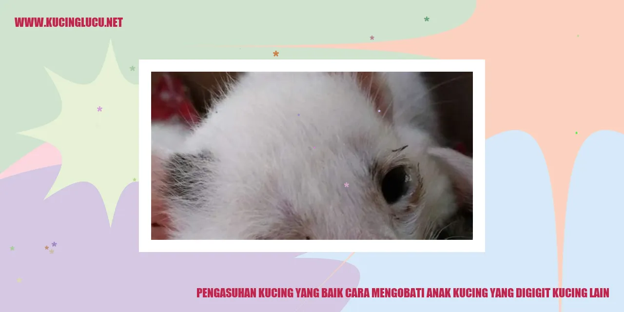 Pengasuhan Kucing yang Baik