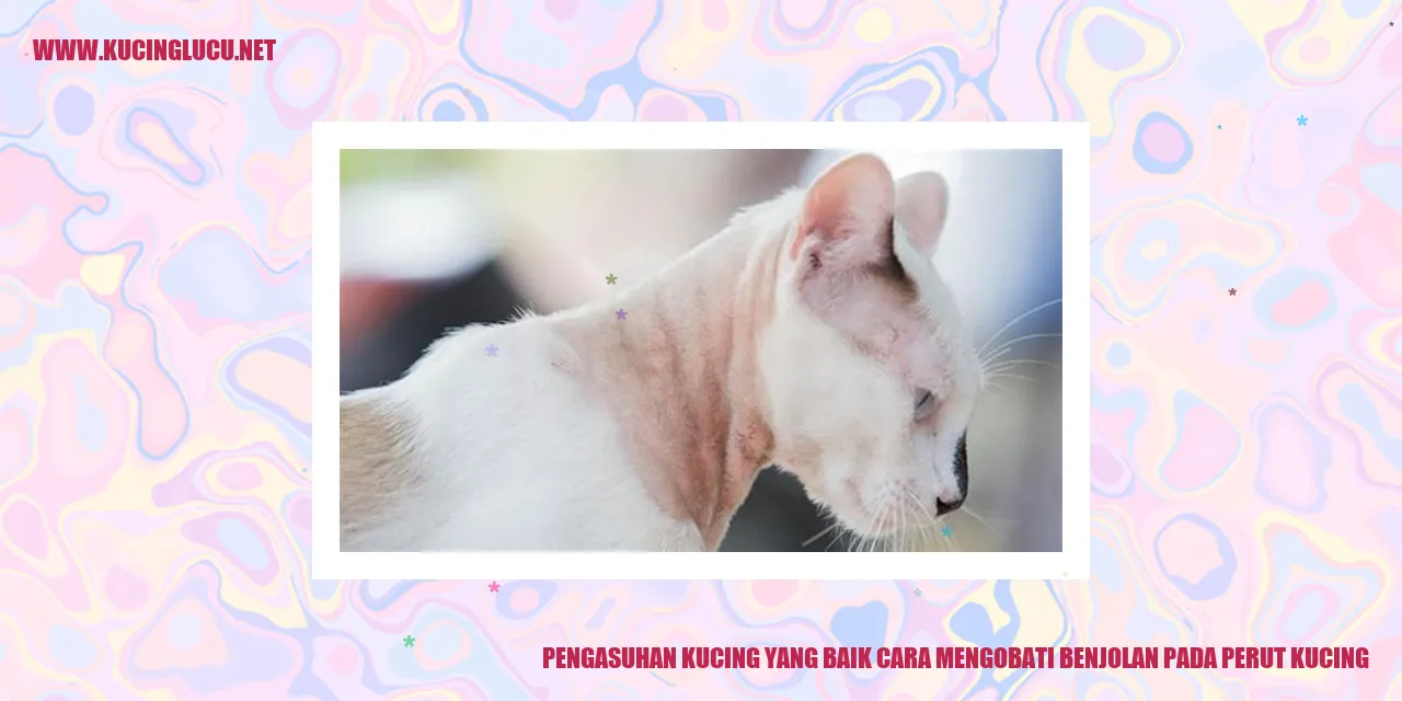 Gambar kucing lucu