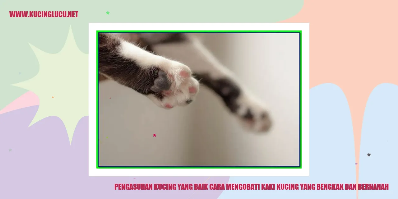 Ilustrasi Kucing dengan Kaki Bengkak dan Bernanah