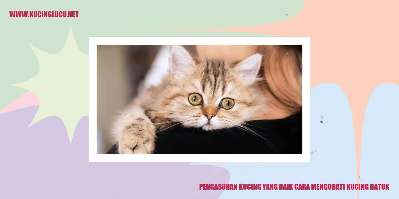 Kucing Batuk