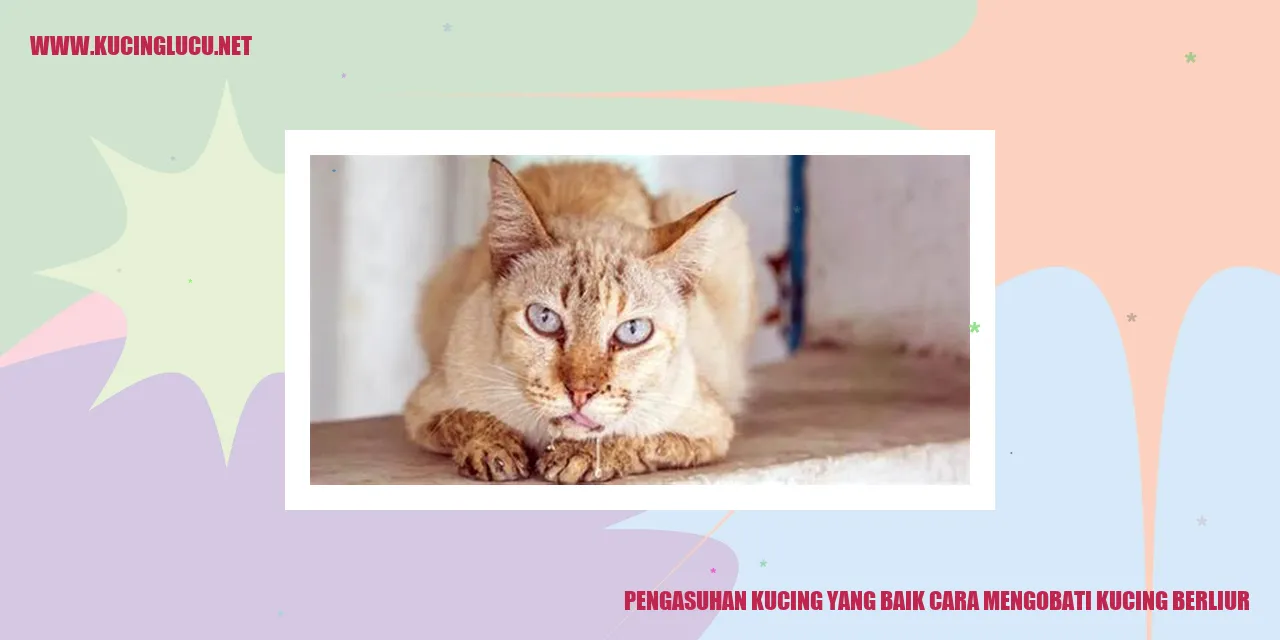 Kucing Mengasuh