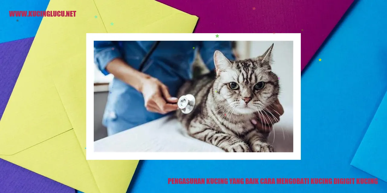 Foto Kucing Menggemaskan