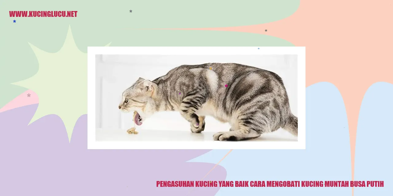 Pengasuhan Kucing yang Baik