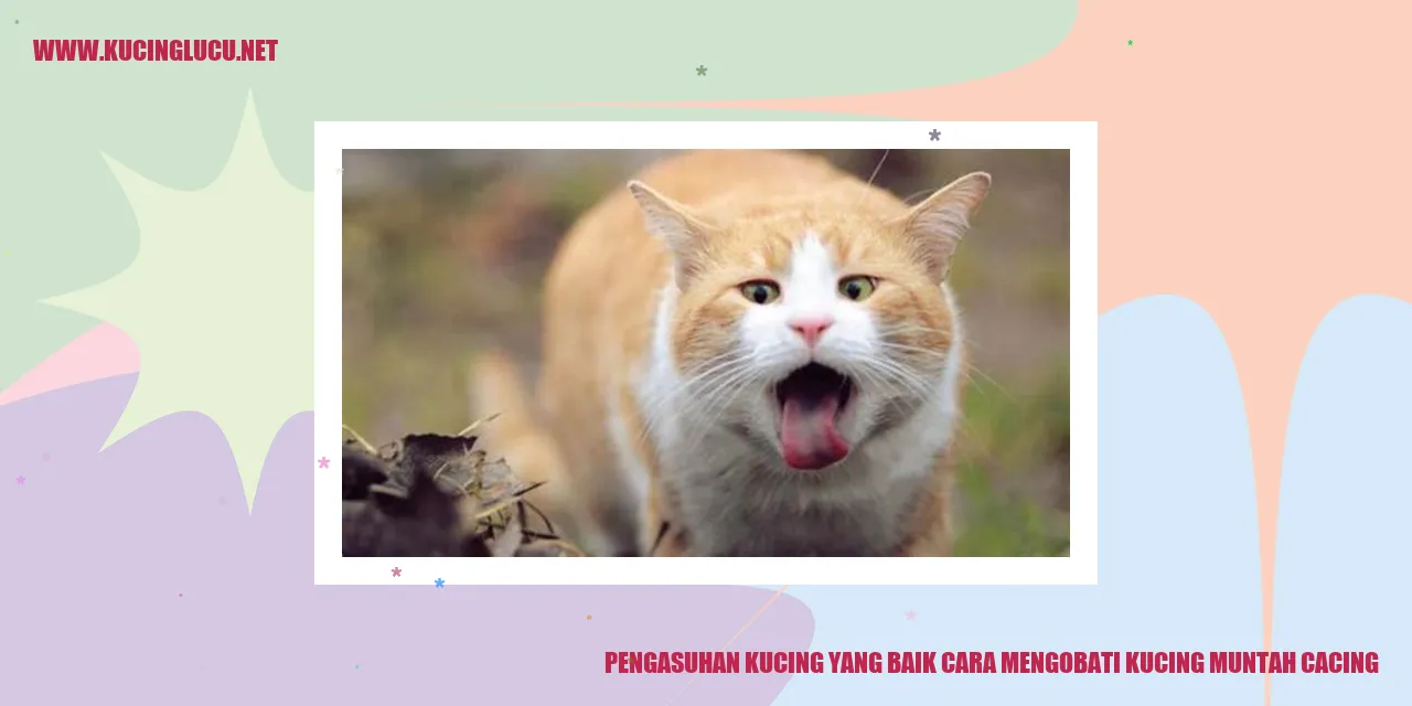 Gambar Kucing Lucu
