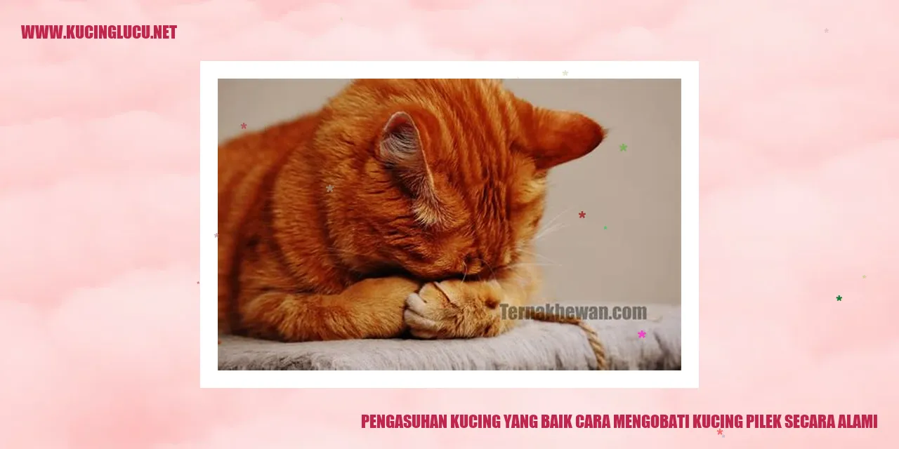 Kucing Pilek