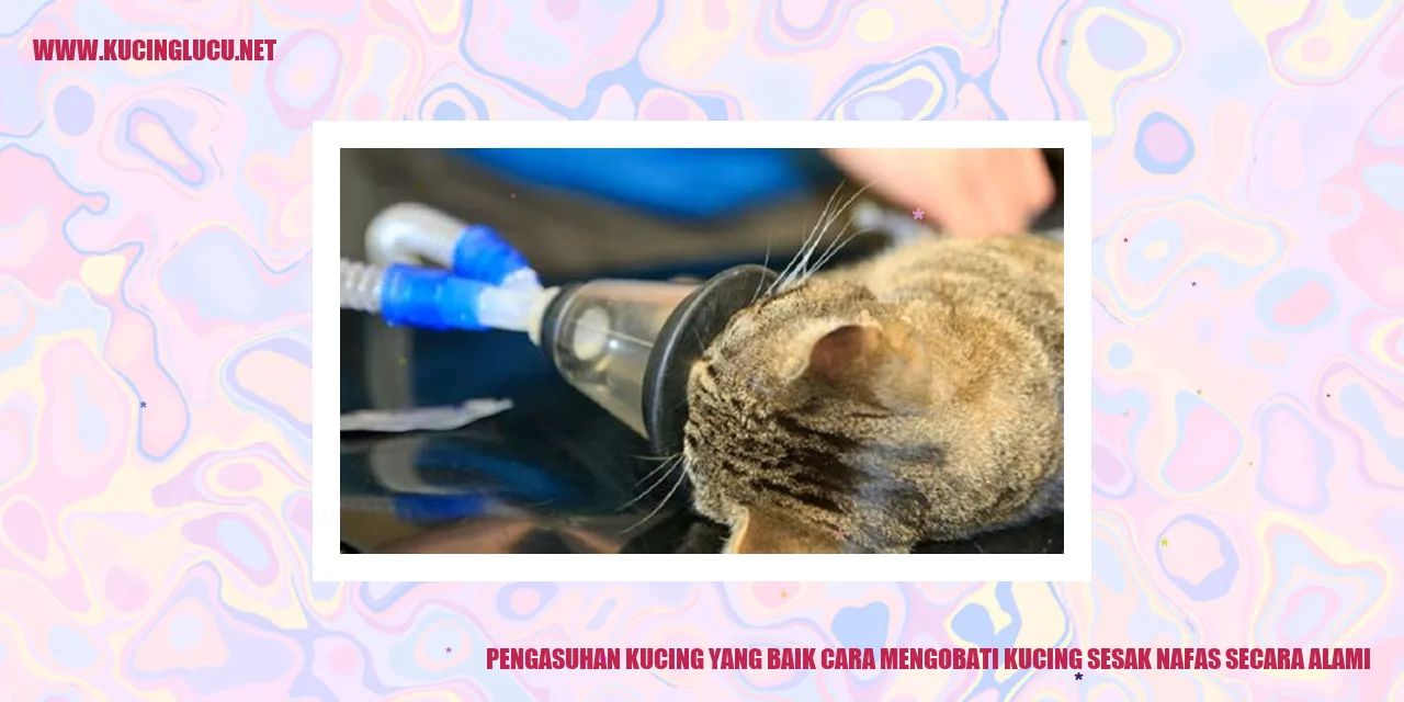 Kucing Menghirup Udara Segar