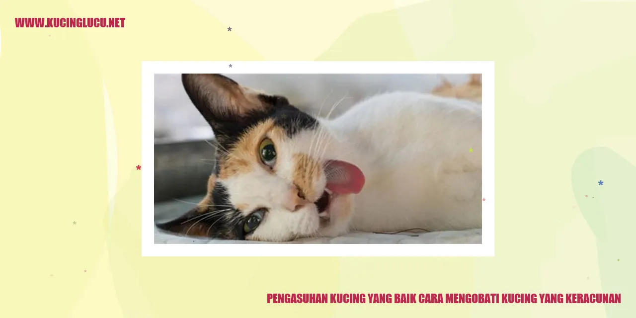Gambar Kucing Lucu