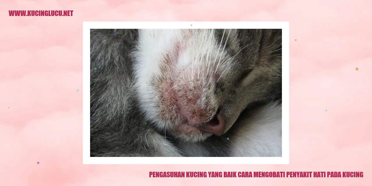 Gambar Kucing
