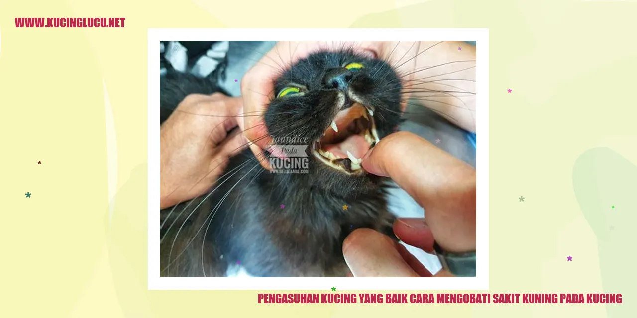 Gizi Anak