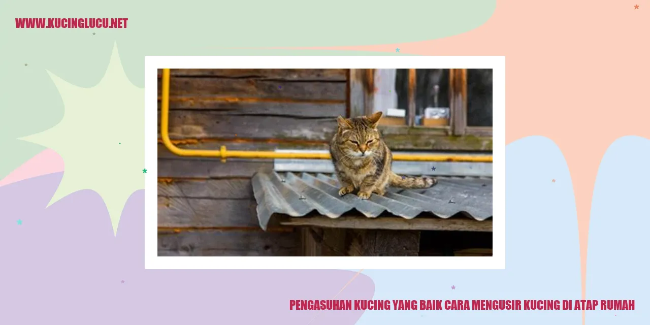Kucing mengintai dari atap rumah