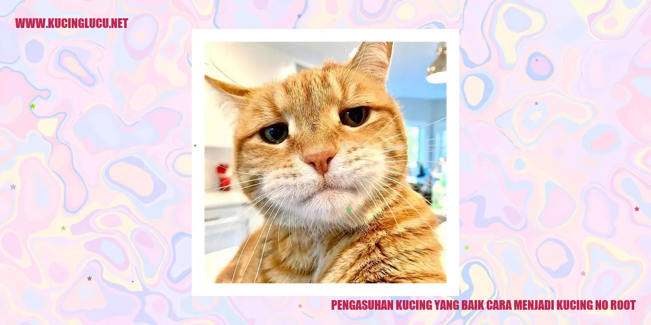 gambar kucing