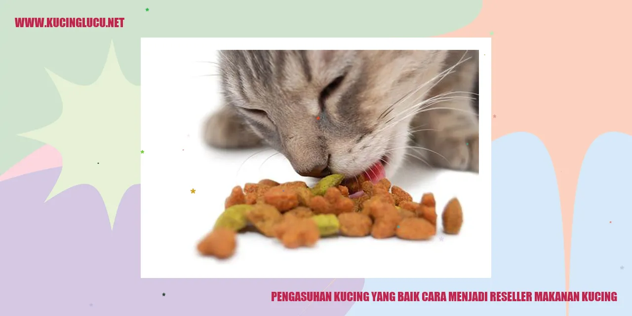 Pengasuhan Kucing yang Baik