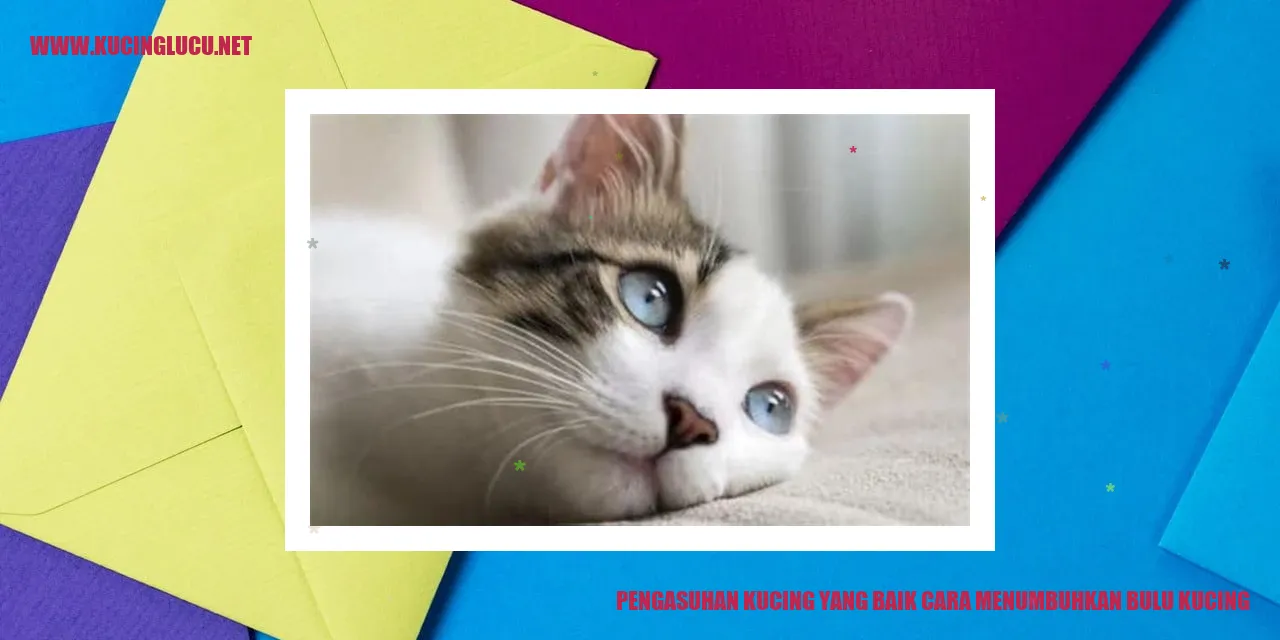 Bulu Kucing