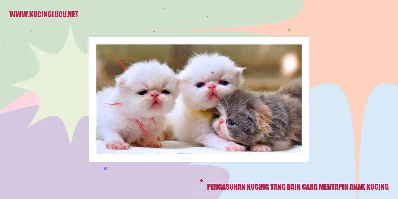 Gambar kucing anak menyapih