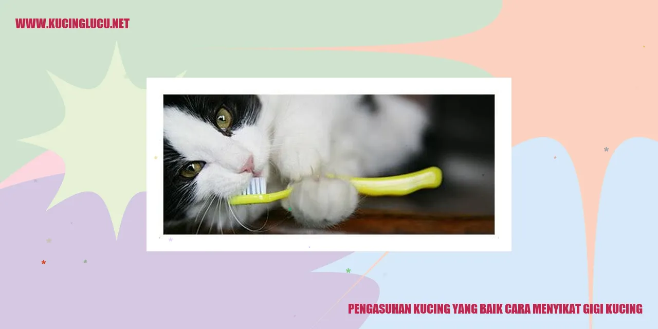Gambar Kucing