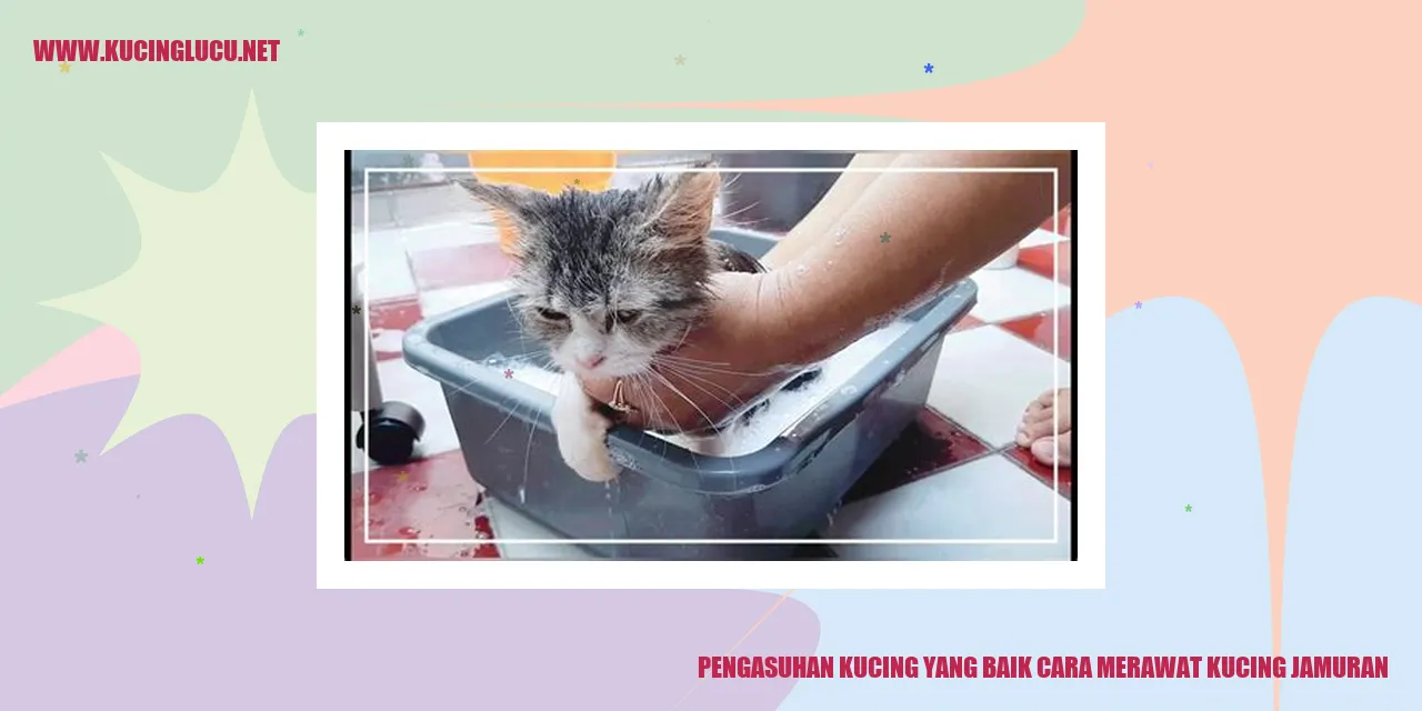 kucing jamuran