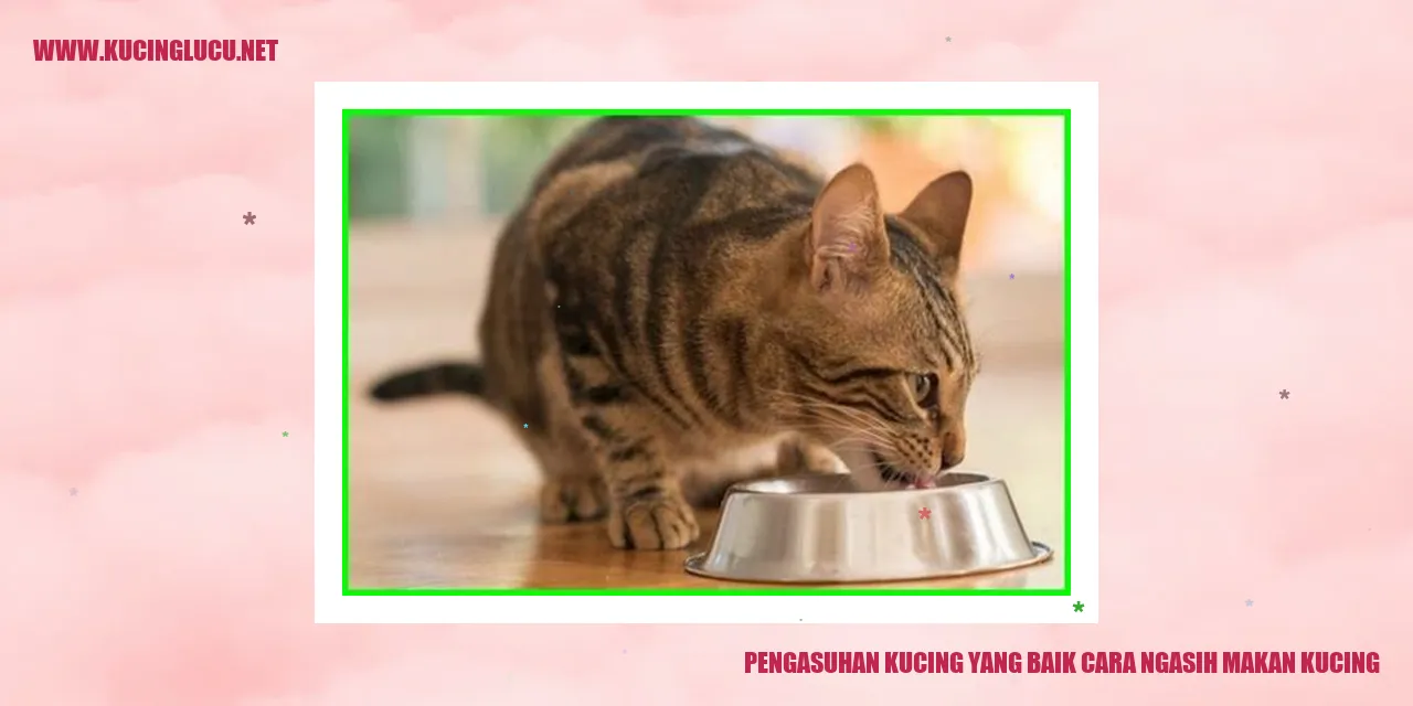 Gambar Kucing yang Sedang Makan