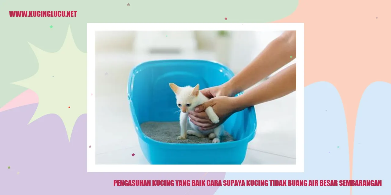 Kebiasaan buruk kucing buang air besar sembarangan