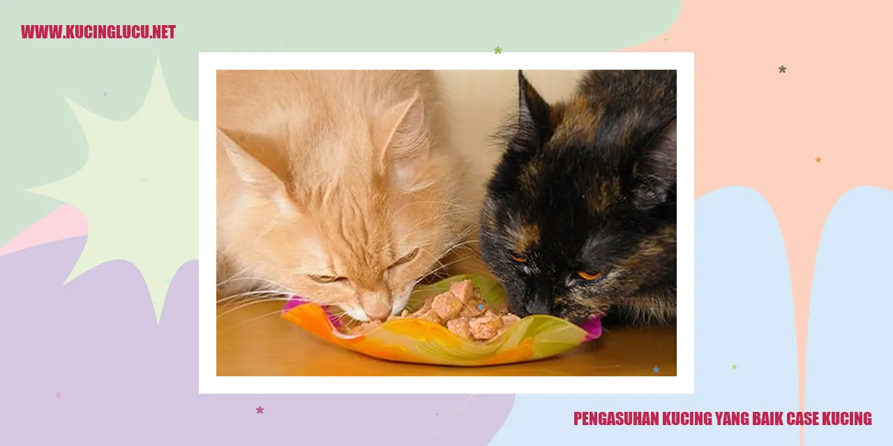 Gambar kucing yang lucu
