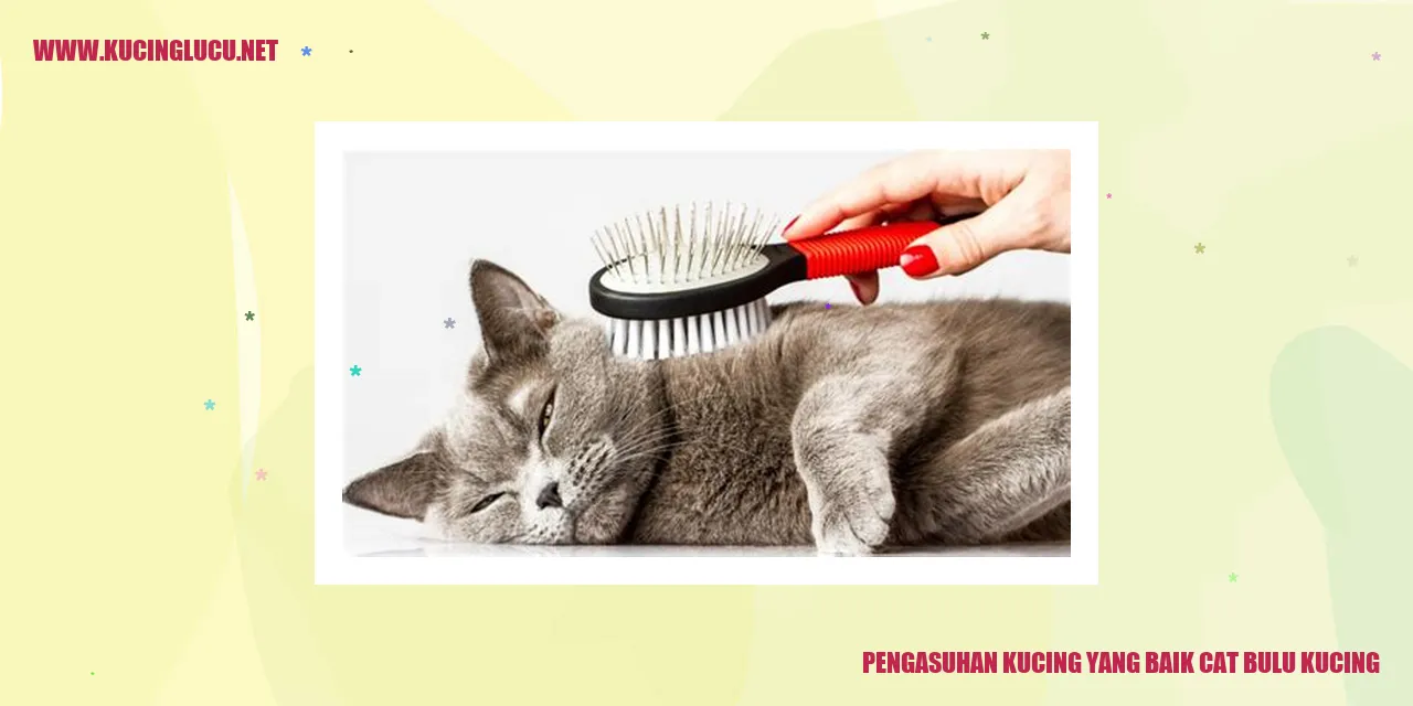 Kucing dengan bulu yang indah