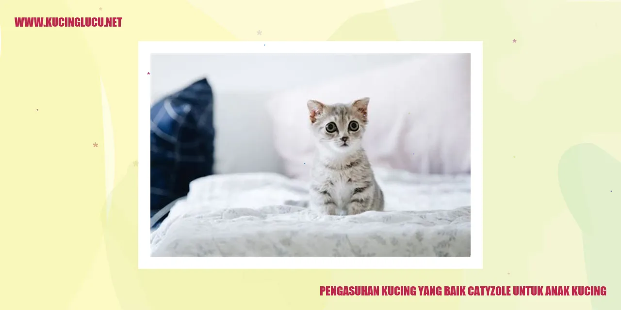 Kucing Anak