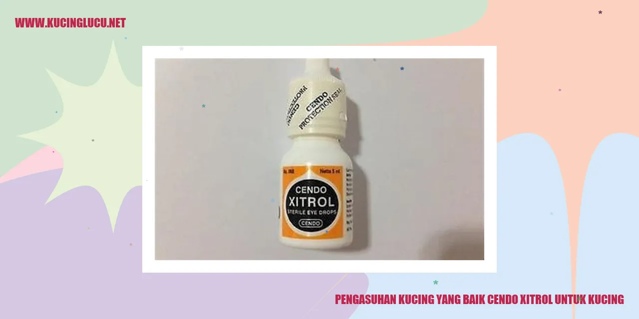 Kucing menggemaskan