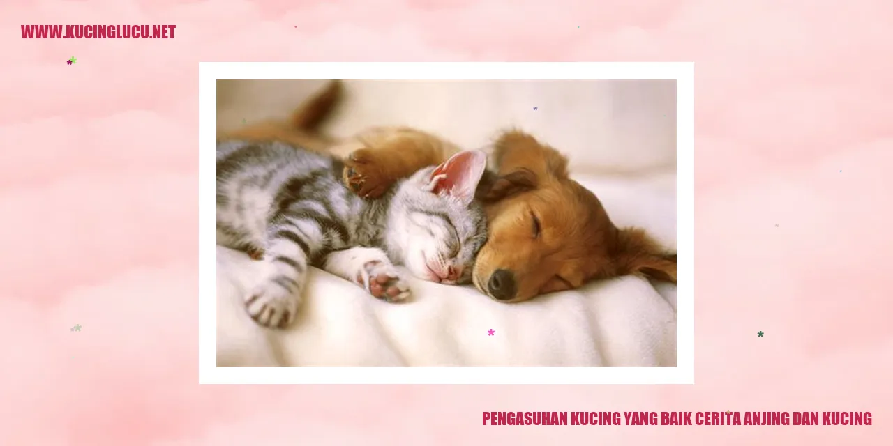 Kucing dan Anjing