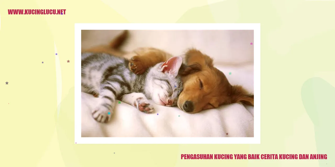 Pengasuhan Kucing yang Baik
