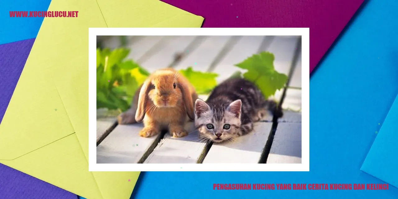 Kisah Kucing dan Kelinci