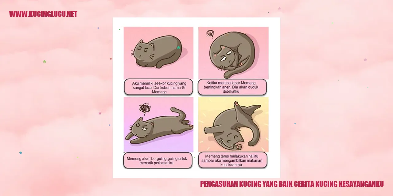 Foto Kucing Lucu