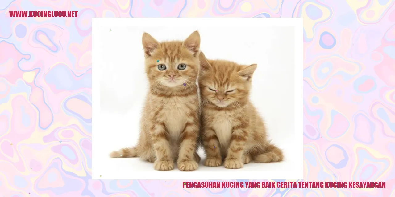Kisah Kucing Kesayangan