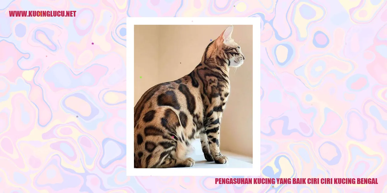 Kucing Bengal