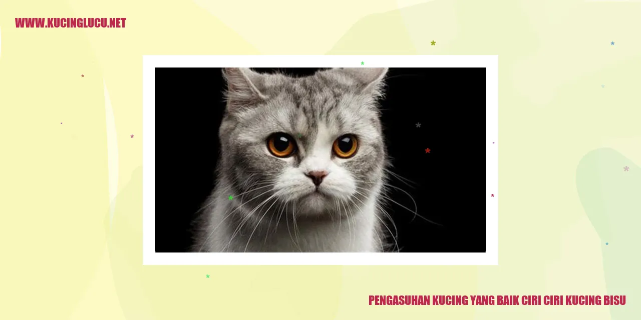 Gambar Kucing yang Menarik