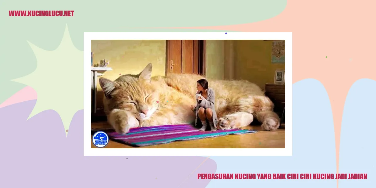 kucing jadi-jadian