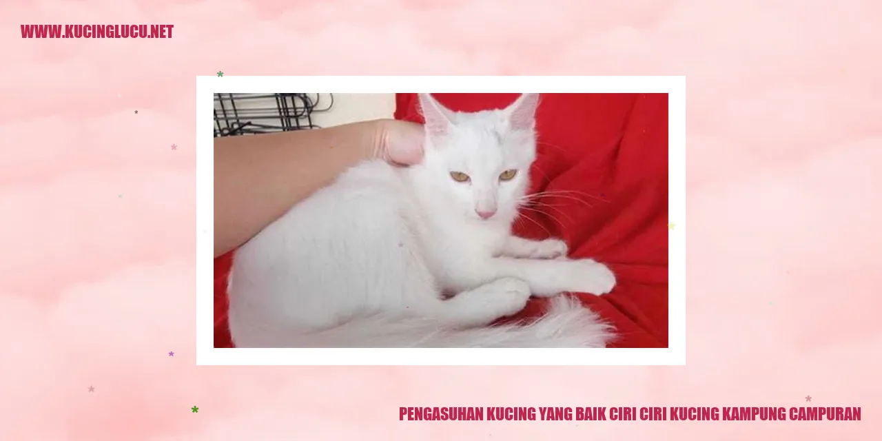Pengasuhan Kucing yang Baik