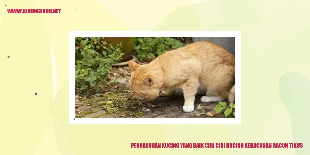 Pengasuhan Kucing yang Baik