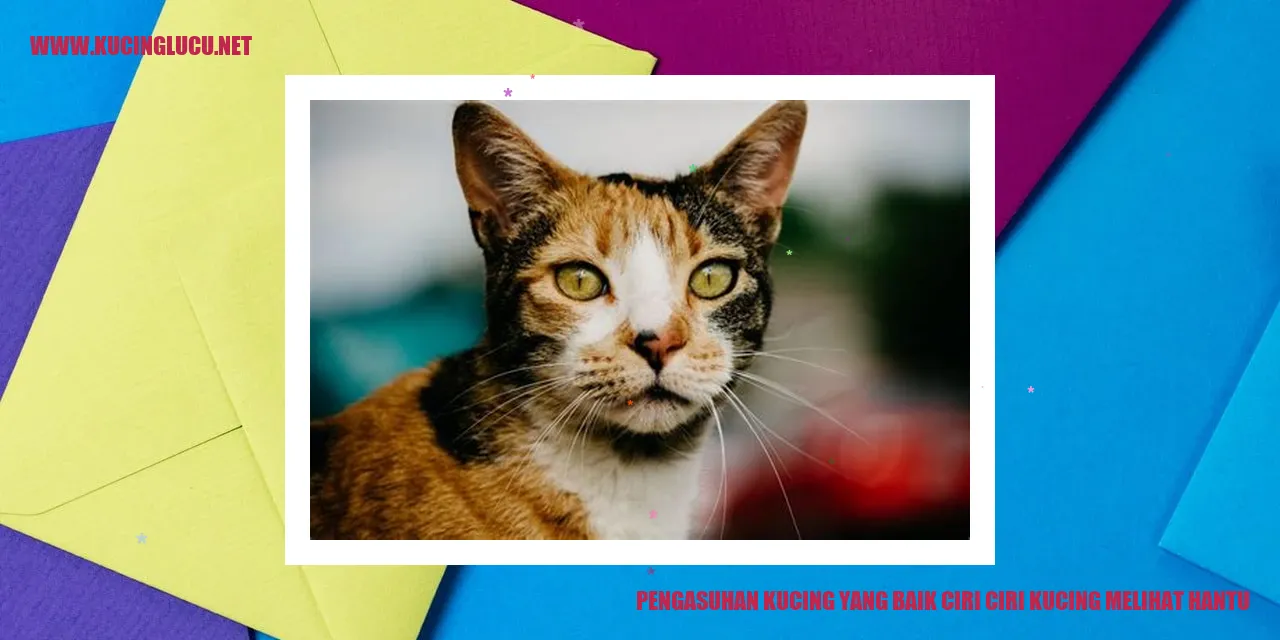 Kucing yang melihat hantu