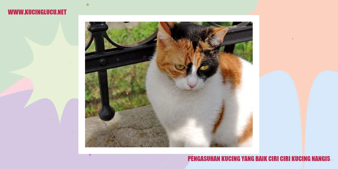 Pengasuhan Kucing yang Baik