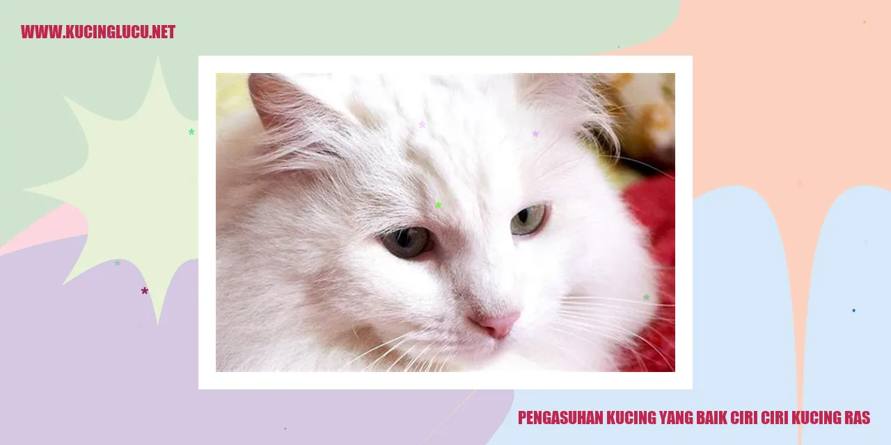 Kucing Ras