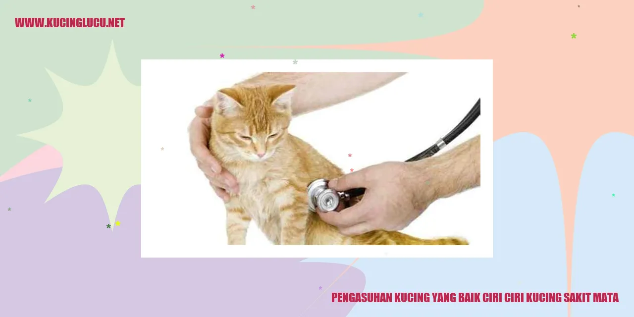 Kucing dengan sakit mata