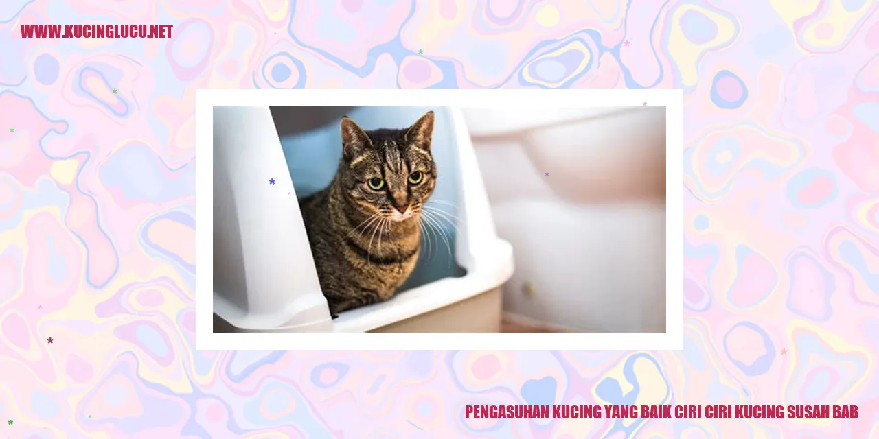 Pengasuhan Kucing yang Baik ciri ciri kucing susah bab
