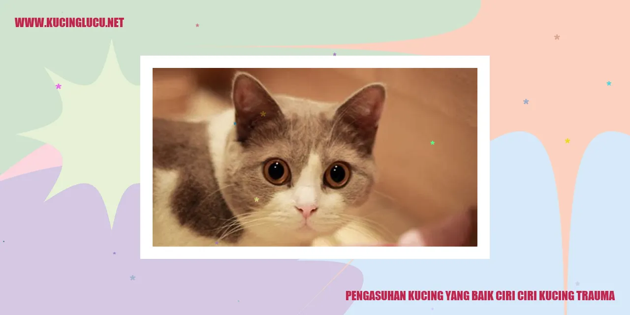 Gambar Kucing yang Bahagia