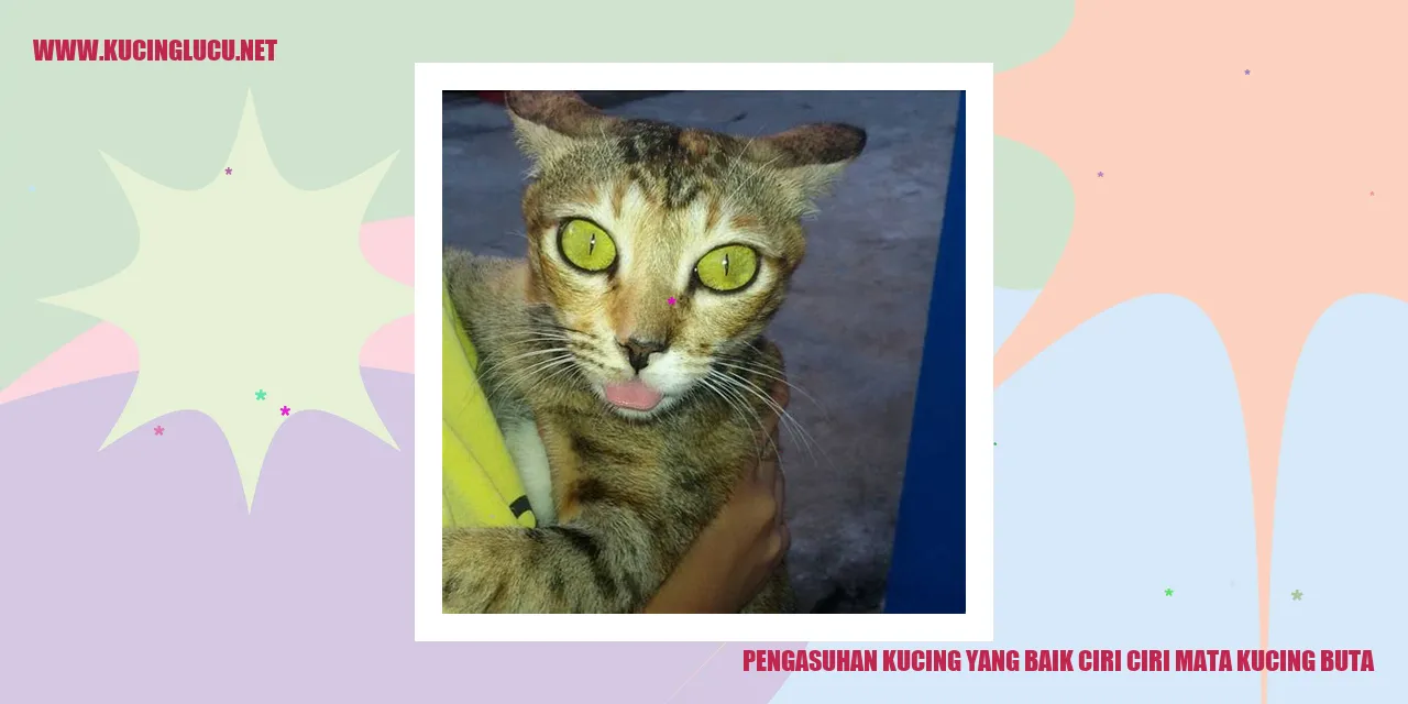 Mata Kucing Buta