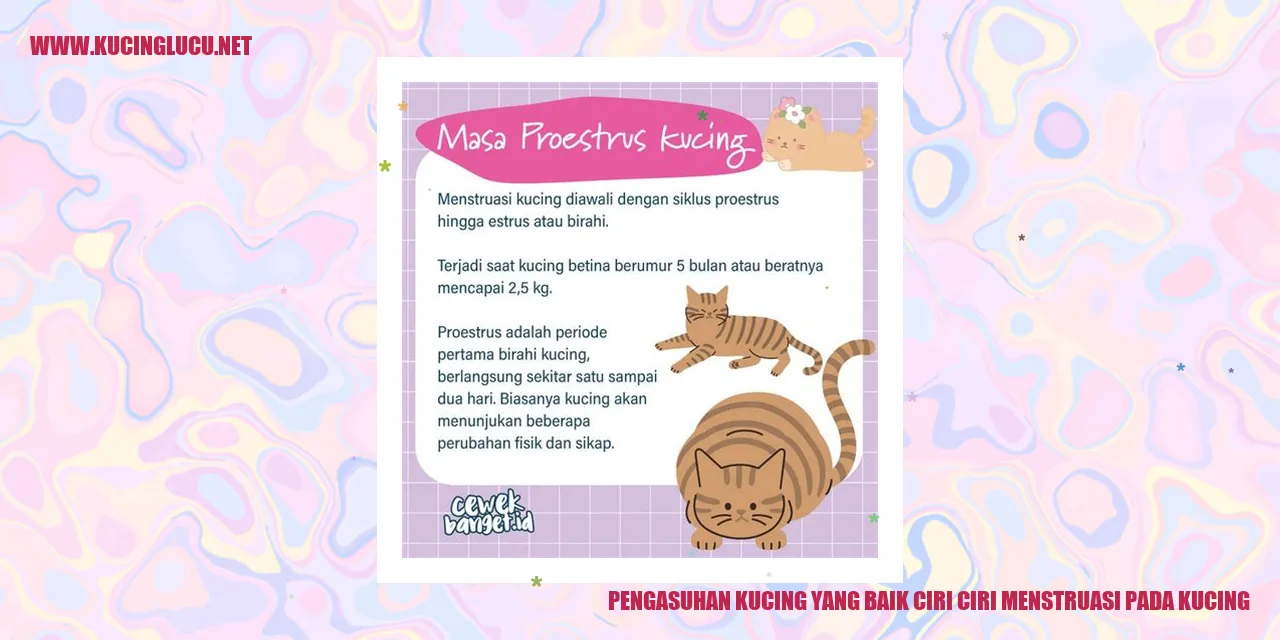 Panduan Mengasuh Kucing yang Baik dan Tanda-tanda Menstruasi pada Kucing