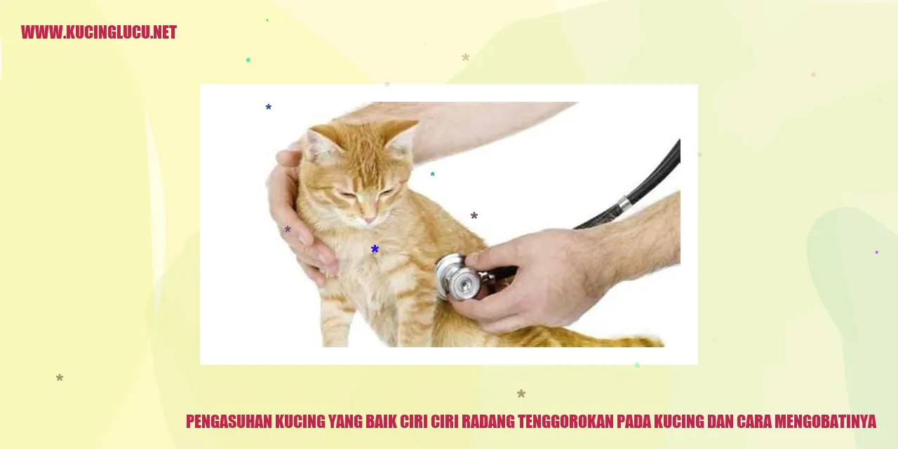 Kucing yang Sehat dan Bahagia